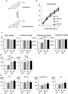 Dietary Oxysterol, 7-Ketocholesterol Accelerates Hepatic Lipid Accumulation and Macrophage Infiltration in Obese Mice